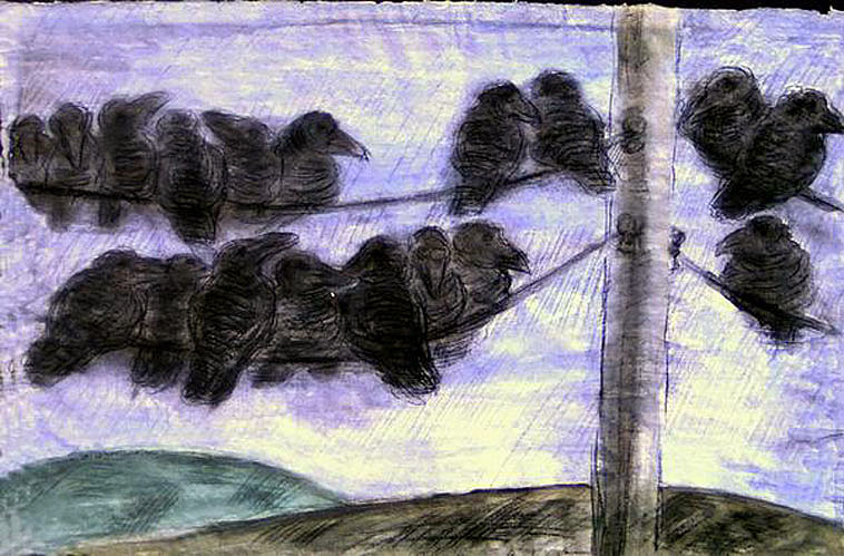 birds graphics for sale "Birds on a Wire" - by Dumitru Verdianu